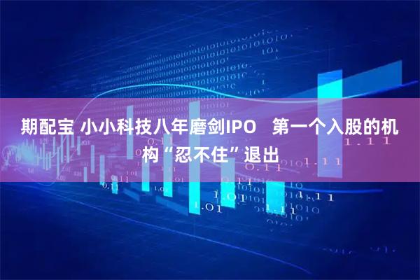 期配宝 小小科技八年磨剑IPO   第一个入股的机构“忍不住”退出