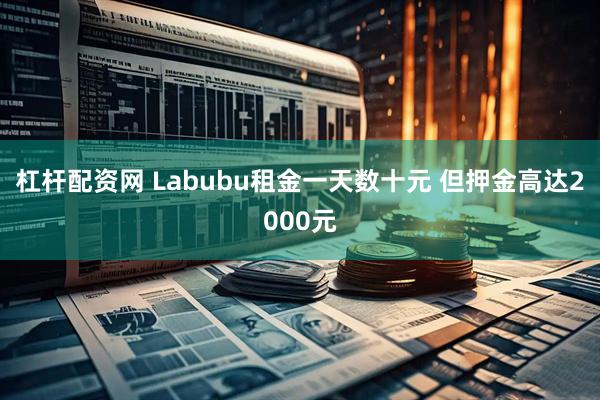 杠杆配资网 Labubu租金一天数十元 但押金高达2000元