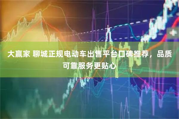 大赢家 聊城正规电动车出售平台口碑推荐,品质可靠服务更贴心