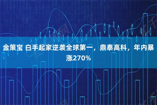 金策宝 白手起家逆袭全球第一,鼎泰高科,年内暴涨270%
